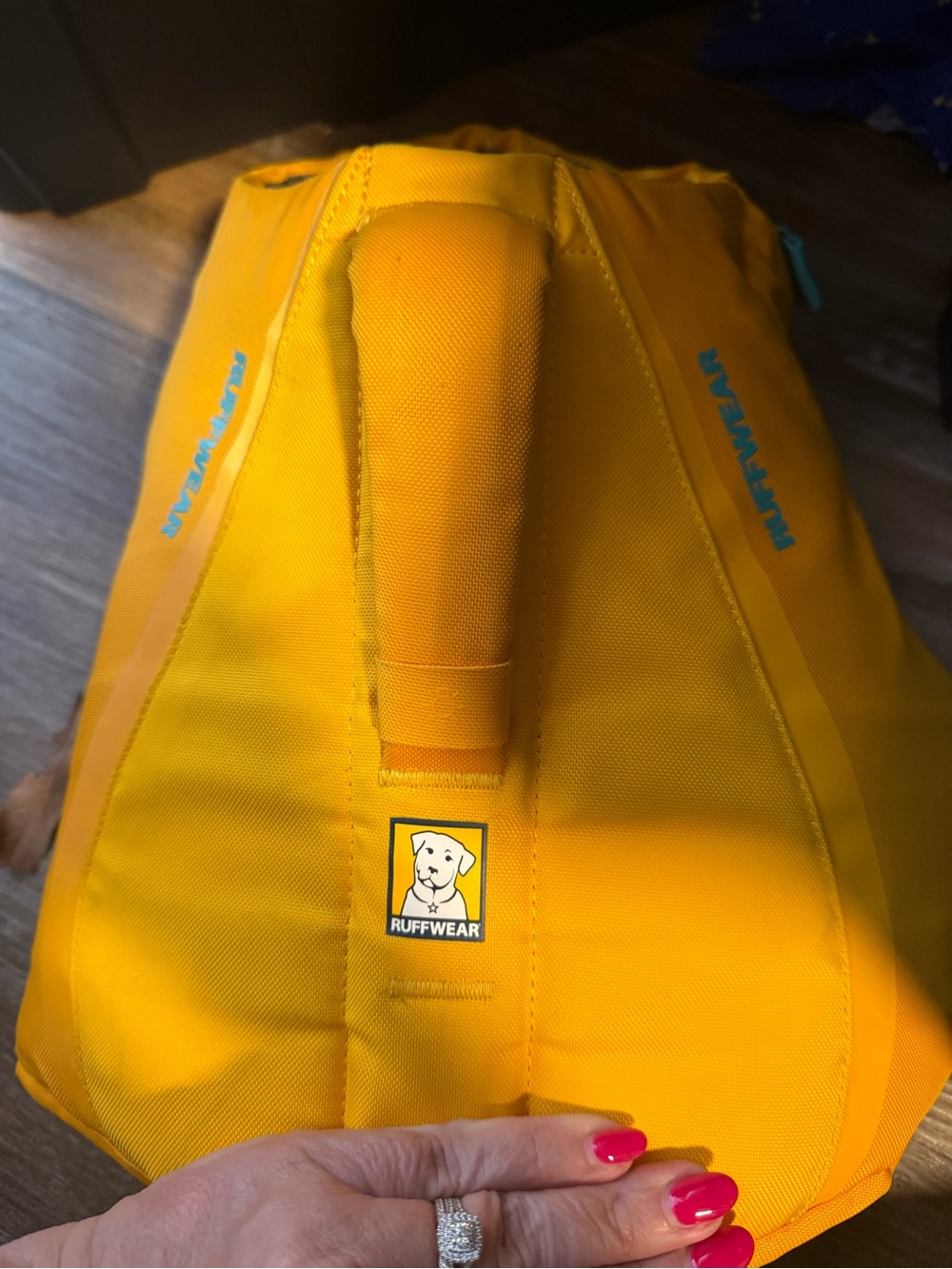 Ruffwear Yellow Dog Pack with Teal Accents size Small